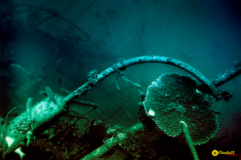 Oracolo della Sibilla Egitto relitto thistlegorm